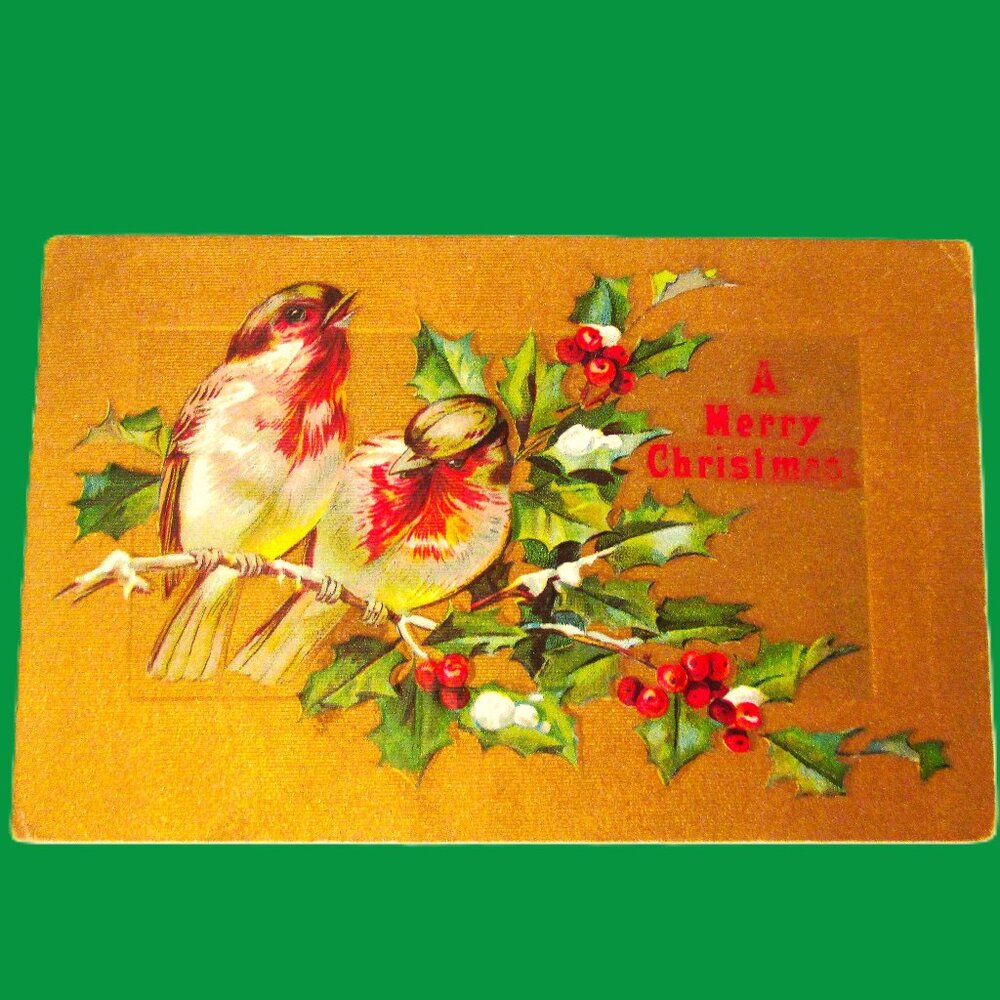 Antique Xmas postcard of snowtipped mistletoe and red berries & snowbirds in
